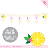 Pink Lemonade Party Banner (INSTANT DOWNLOAD)