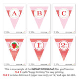 Strawberry Party Banner (INSTANT DOWNLOAD)