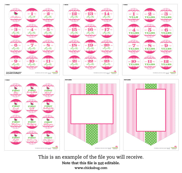 Pink Watermelon Party Photo Banner Kit (INSTANT DOWNLOAD)