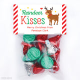 Reindeer Kisses Striped Christmas Paper Tags and Bags