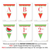 Red Watermelon Party Banner (INSTANT DOWNLOAD)
