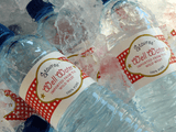 "Well Water" Birthday Water Bottle Labels - Gingham