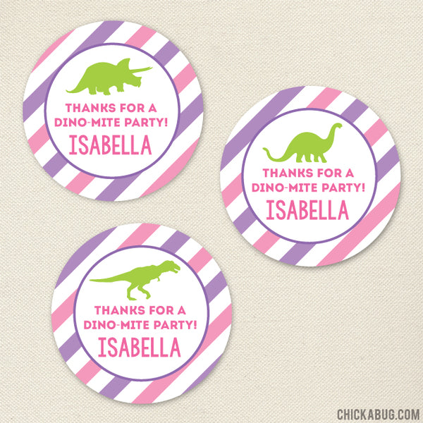 Pink Dinosaur Party Favor Stickers